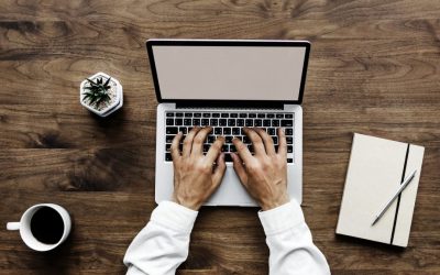 Modern Web Design Garden Route